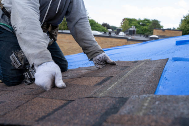 Professional Roofing Contractor in Covington, LA