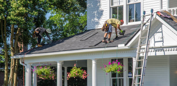 Best Roof Gutter Cleaning  in Covington, LA